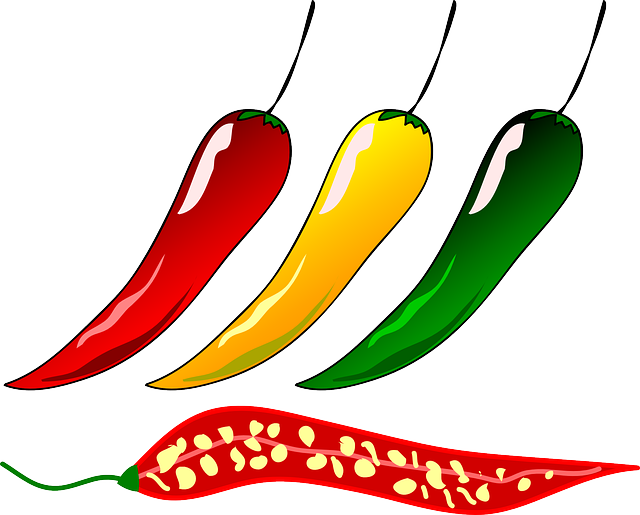 chili-pepper-149656_640.png