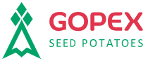 Gopex-logo.png